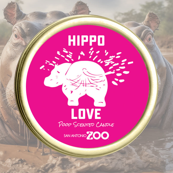 Hippo-Love Candle