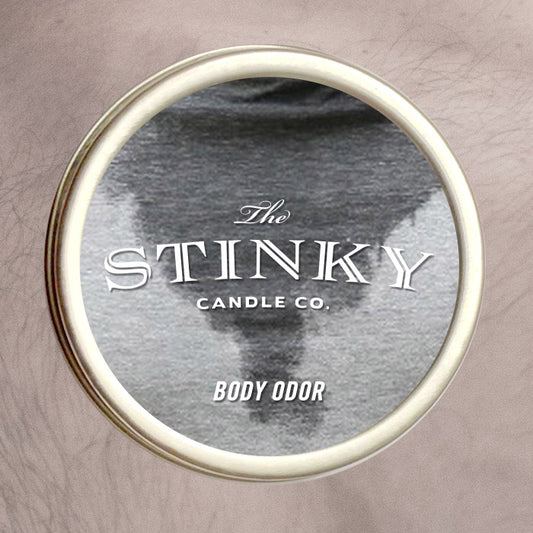 The Stinky Candle Company LLC Blueberry Scented Jar Candle